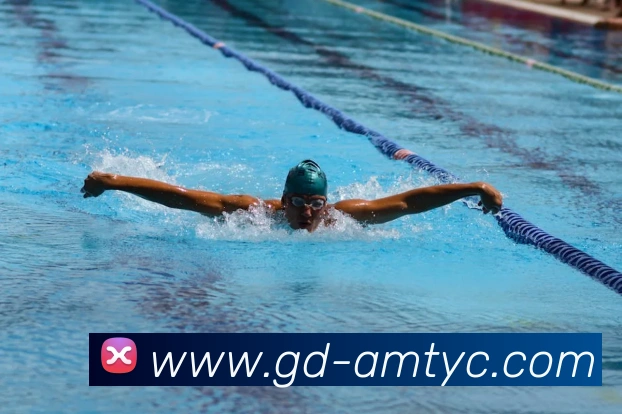 太阳城娱乐平台生态图